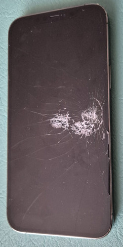 Iphone pro max 256gb - 256gb,