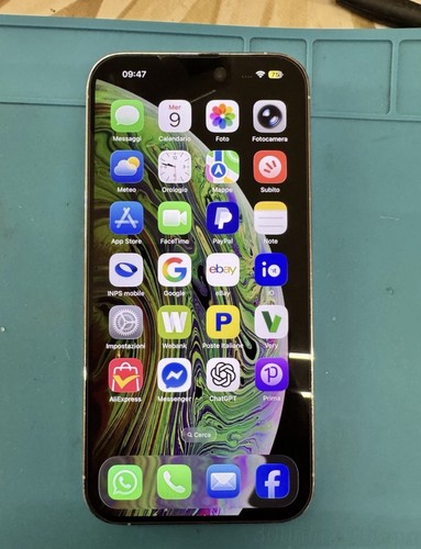 Apple iphone pro max 256gb - 14,