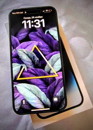 Iphone pro max 256gb - 14,